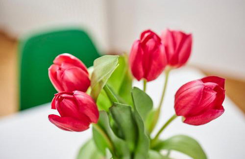 Komfortables Ferienhaus - Traumhafte Entspannung in purer Natur - Foto 24