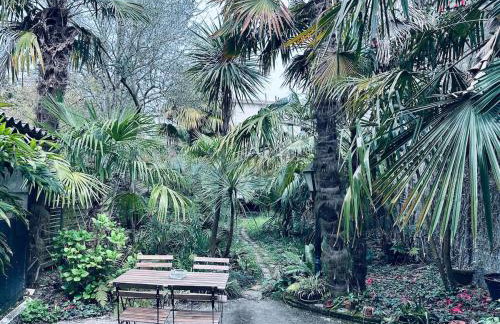 Tropical House - Foto 17