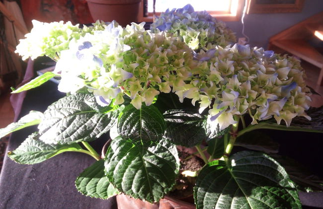 Bø Art Studio - Foto 21