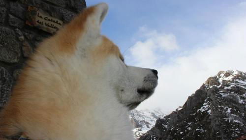 Casa Rural La Cabaña del Valleyu - Foto 5