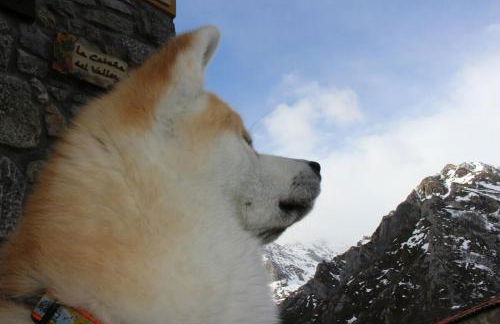 Casa Rural La Cabaña del Valleyu - Foto 5