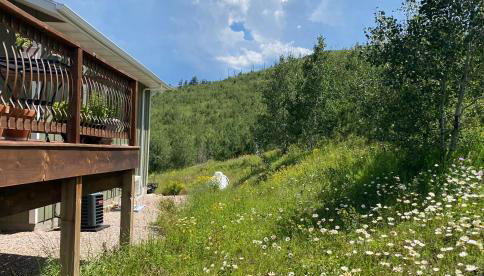 Majestic Retreat Studio - Foto 2