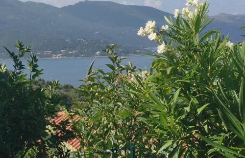 Panoramic Seaview studio Tiuccia - Foto 10