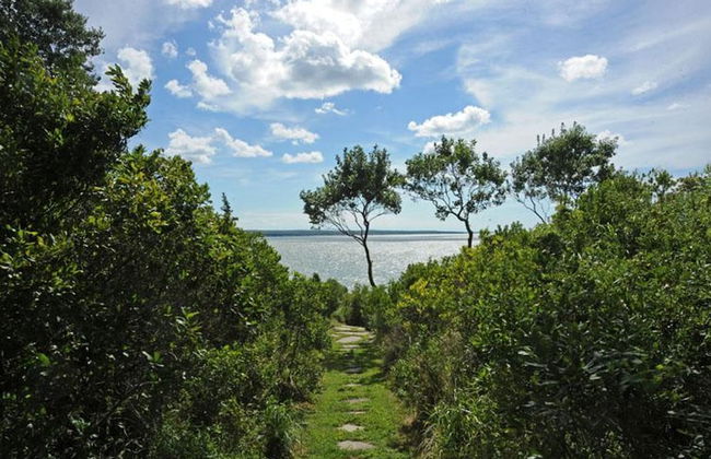 Bluffside Cove by Rove Beachfront w Pool Sauna - Foto 33