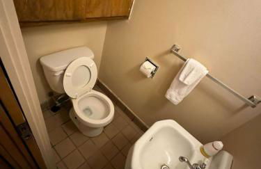 Midcentury Modern - Pool & Hot tub - Retro Retreat - Foto 51