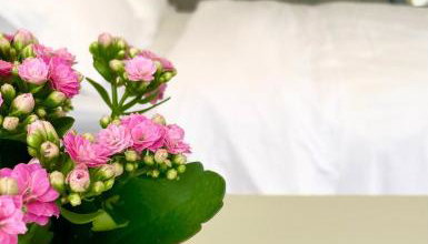 The Cabin at Number 12 - Foto 2