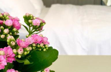 The Cabin at Number 12 - Foto 2