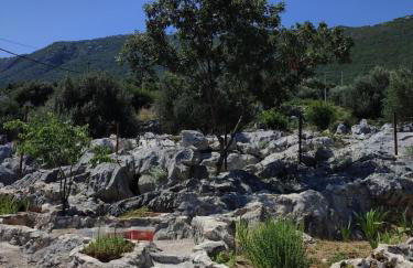 Holiday Home Vega in Nature with Pool - Foto 2