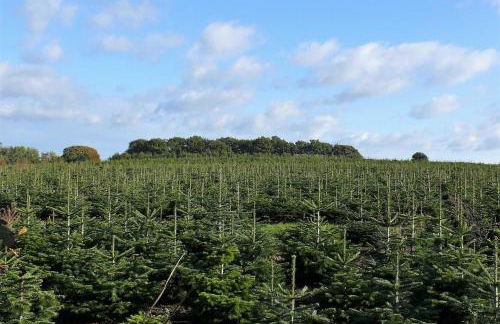 Haus-Auetal - Photo 8