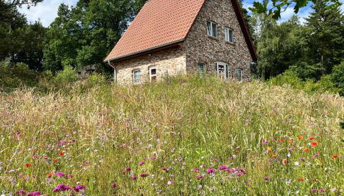 Bispinger-Heidezauber-Haus-Felsenbirne - Foto 2