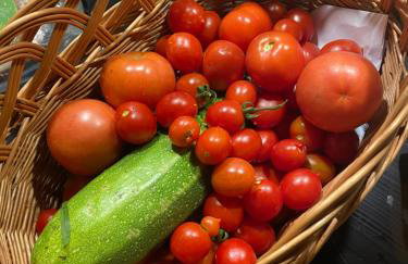 Królewska Sielanka - Foto 16