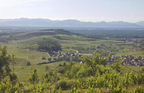 Apartment in Kleines Wiesental - Foto 69