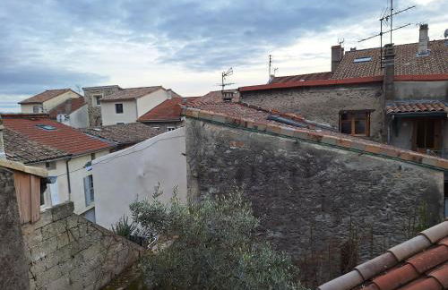 Le Lapin dans la Cour - Foto 20