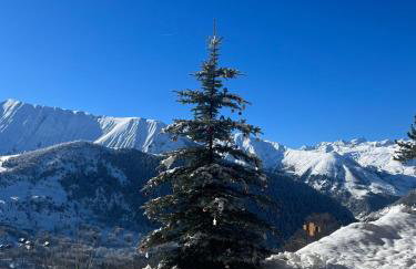 La scierie de la grande ourse - Foto 42