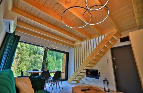 Gwiazda Mogielicy basen & balia, sauna - Foto 44