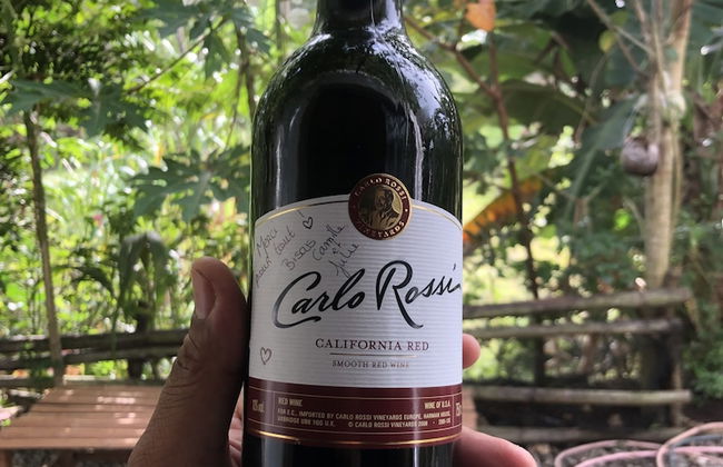 Sobral Rice Terraces View - Foto 20