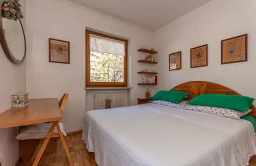 Dolomites Soundscape - Birds River Snow Ski Bus Bike Hike - Foto 17