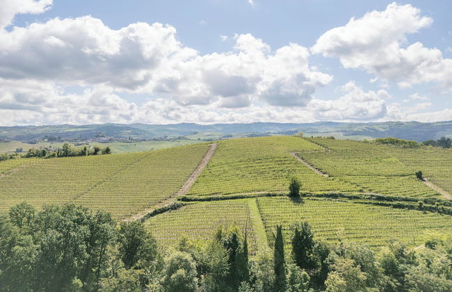 Casa Renato Apartments With Pool, Monforte D' Alba - Foto 78