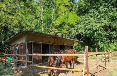 Casa Parco Trebbia, 15 min Grazzano/Bobbio, 1h MI - Foto 26