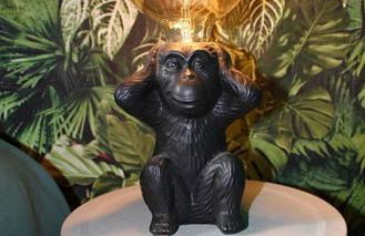 MAISON "Jungle House" 90 m2 BILLARD, RÉTROPROJECTEUR, BAR À JEUX , VINYLE, WIFI FIBRE, idéal PRO & FAMILLE à Montbrison - Foto 37