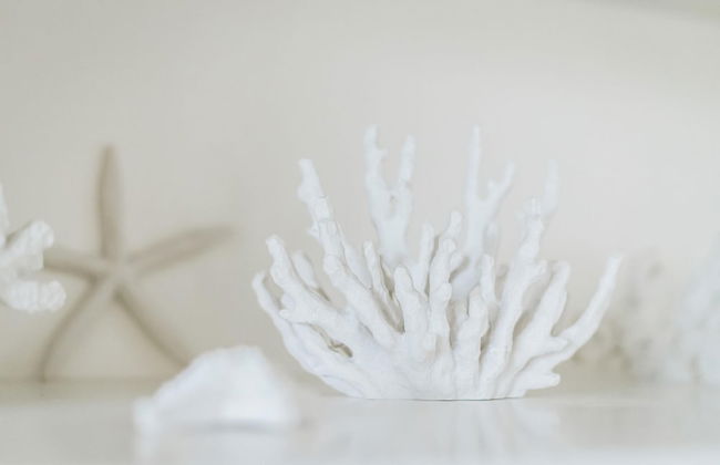 Gorgeous Bungalow With a Backyard Deck - Photo 15