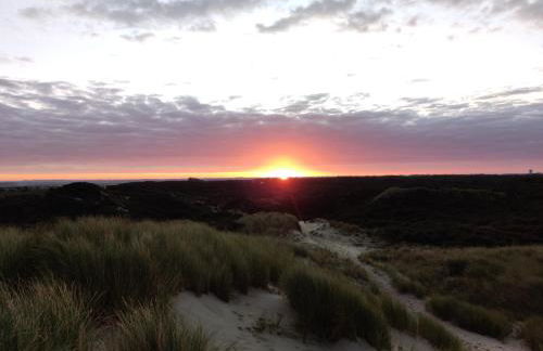 Pilets de la baie d'Authie - Foto 16