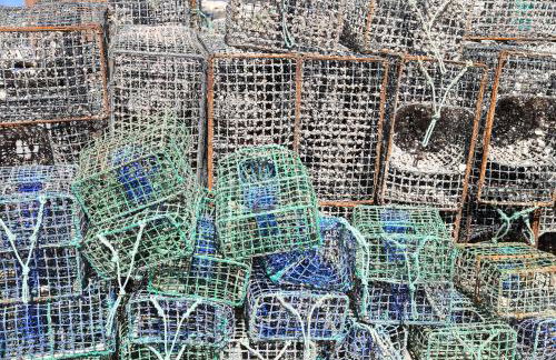 Alvor Seven - Photo 16