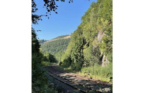 Holiday home Berghouse Elleringhausen - Foto 27