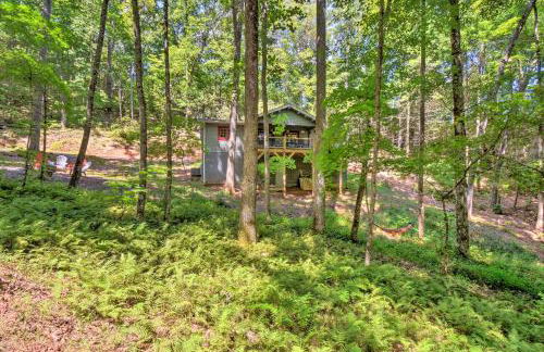 Pet-Friendly Otto Mountain Cabin with Fireplace! - Foto 27