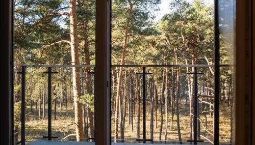 Leśny Apartament - Foto 2