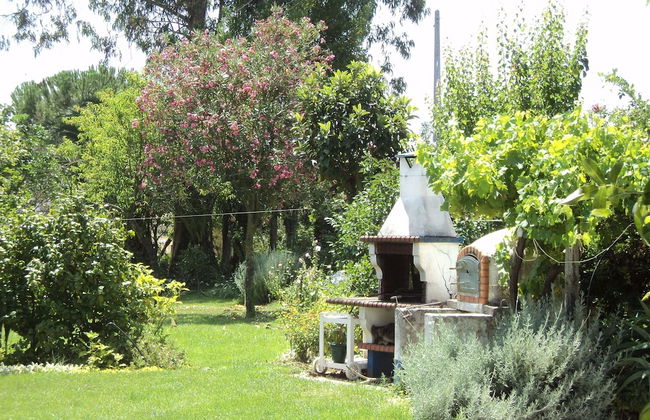 Quinta Retreat With Pool and Olive Grove - Foto 21