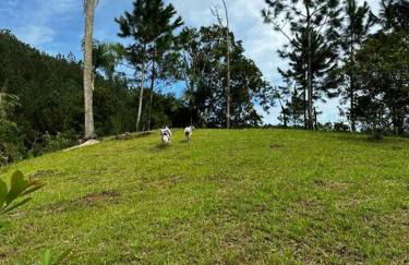Casa de campo com cachoeira no quintal - Foto 65