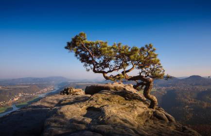 Villa Sonnenblick - Foto 16