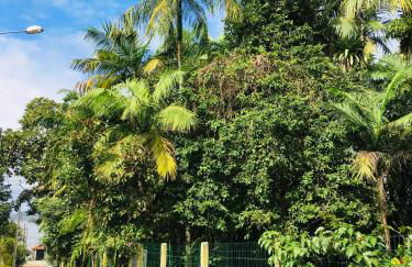 Rancho Caiçara - Photo 35