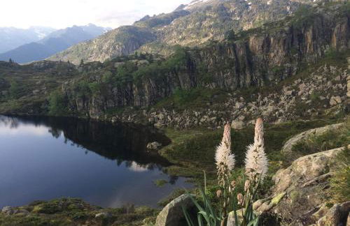 Les Bordes De Paloumières - Foto 43
