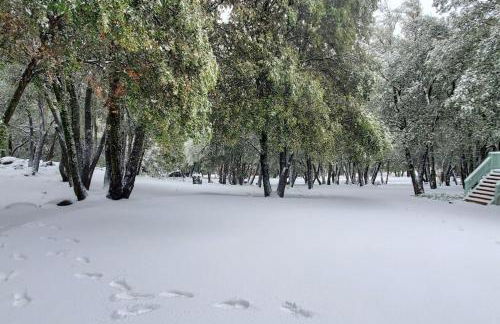 Pine Hills Cabin in Julian - Foto 31