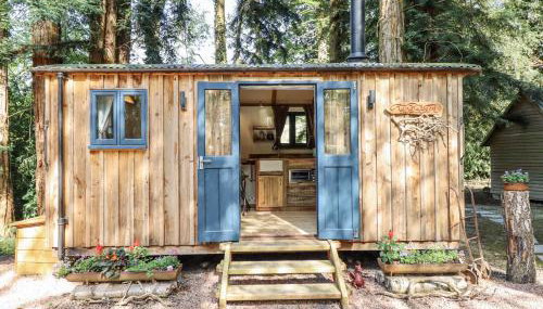 Tanglewood Shepherds Hut - Foto 2