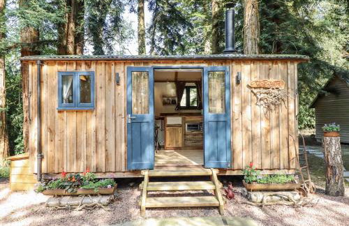 Tanglewood Shepherds Hut - Foto 2