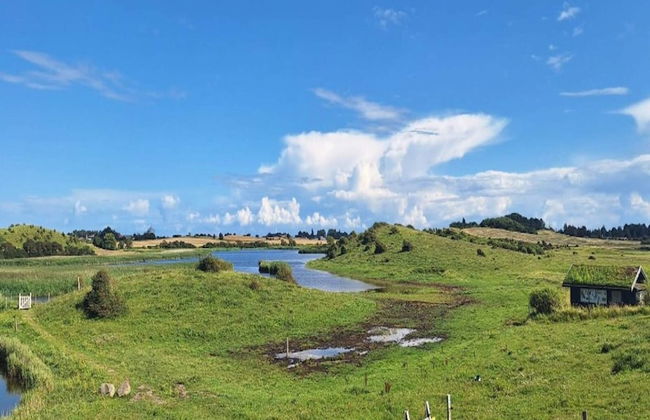 6 Person Holiday Home in Kolind - Photo 36