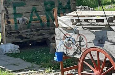 Ranch Farm Stay - Foto 35