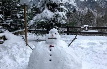 Pinecone Lodge, Eptalofos Wellness Garden Chalet - Foto 69