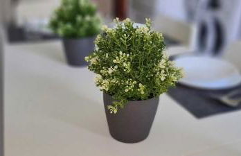 Gemütliche Fachkräfte-Wohnung - Foto 8