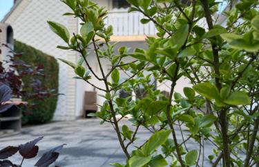 Westerwald Apartments - Das große Ferienhaus, zentral und ruhig, einfach gut! - Foto 17