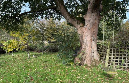 7 Bed in Langbar oc-d34075 - Photo 25