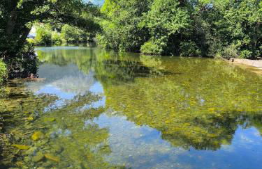 La Casa de la Miel - Foto 11