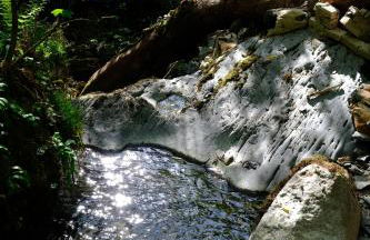 Ty Farm Retreat - Farmhouse Studio - Mountain View - Foto 34