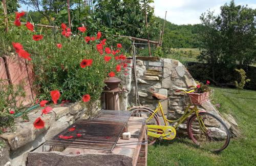 Casale Mansano - Natura e relax nelle colline - Photo 64