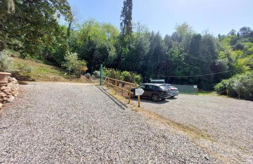 Villa la Pieve - Foto 58