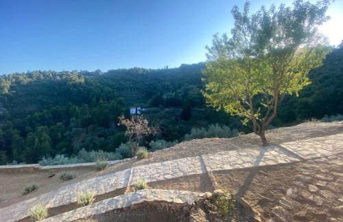 Laas Daskios, Stone Country House, Skopelos Anania - Foto 80