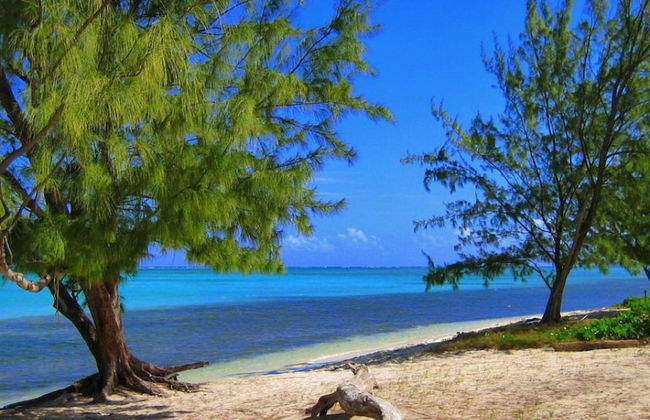 3 Suites Free Breakfast Steps to Beach - Photo 79